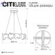 CL250162 (12)