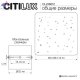 CL246012 (9)