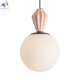 FR5629PL-01PC (3)