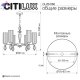 CL254160 (10)