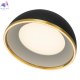 CL736151 (2)