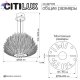 CL327170 (8)