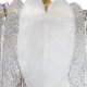 CL328180 (5)
