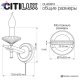 CL423313 (6)