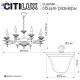 CL423183 (8)