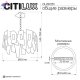 CL231251 (12)