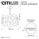 CL231252 (13)