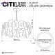 CL231272 (11)